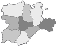 Colegios Oficiales de Trabajo Social de Castilla y León