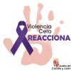 Comparecencia del Consejo Autonmico de Trabajo Social en la Comisin Violencia de Gnero de las Cortes de Castilla y Len