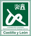 Consejo Autonmico de Trabajo Social de Castilla y Len en el Da Mundial del Trabajo Social 2020.